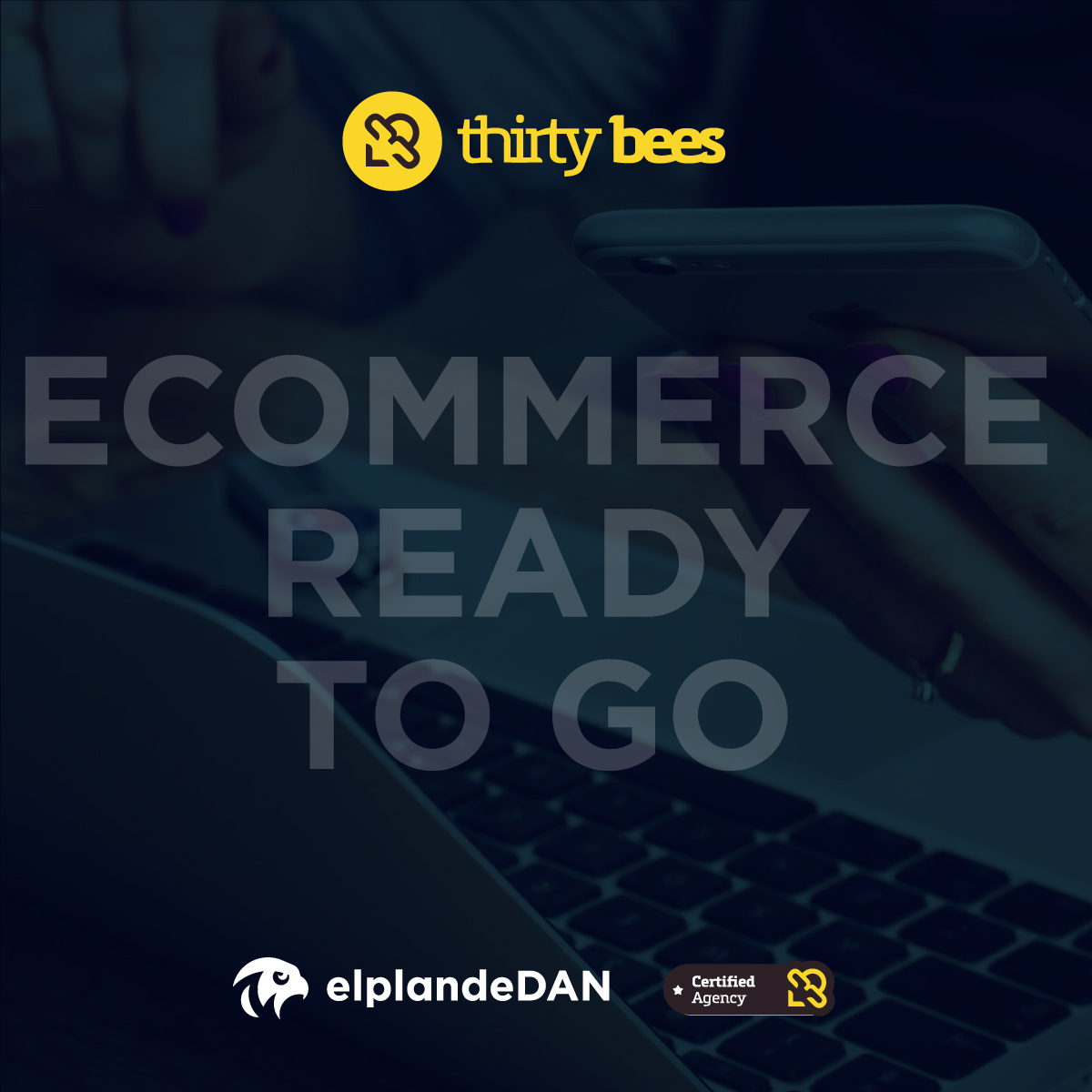 ecommerceready