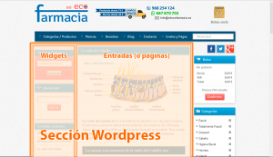 checkout wordpress